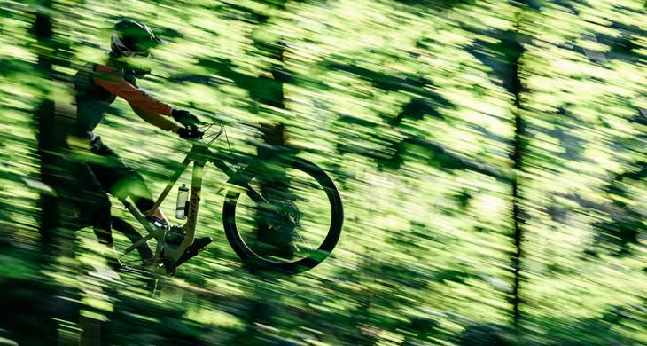 Freeride & Downhill Freeride & Downhill