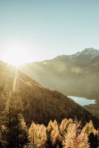 Maloja MelM. Damen Polsterunterziehhose