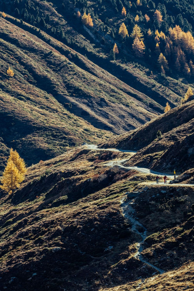Maloja CulmM. Beinwärmer