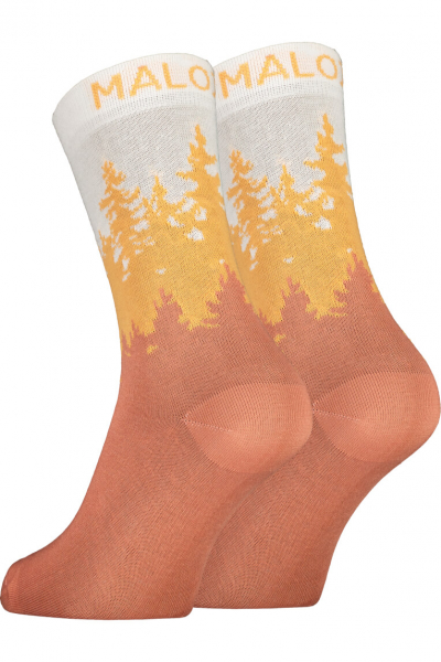 Maloja ScotoniM. Socken